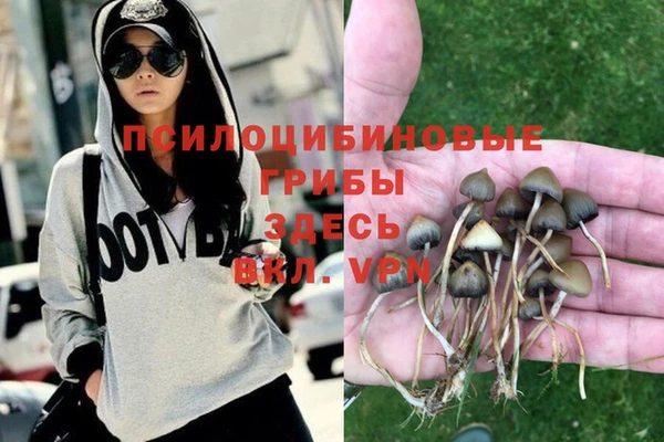 MESCALINE Гусев
