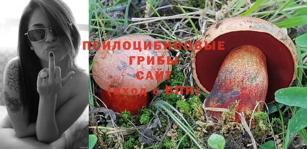 мяу мяу мука Гусиноозёрск