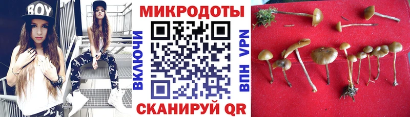 Галлюциногенные грибы мицелий  Купить где  Каргополь 