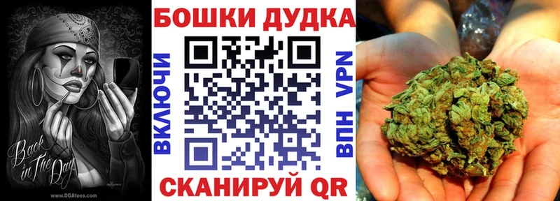 Бошки Шишки Amnesia  Купить где  Каргополь 